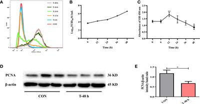 L-Leucine Promotes STAT1 and ISGs Expression in TGEV-Infected IPEC-J2 Cells via mTOR Activation